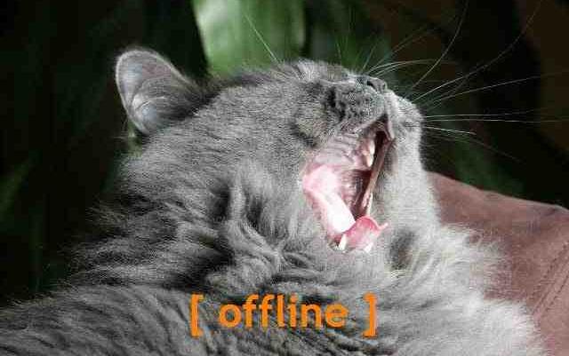 [ offline ]